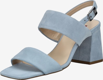 Sandalo di Högl in blu: frontale