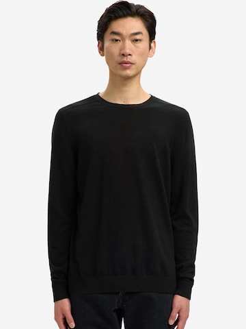 SELECTED Sweater 'Berg' in Mixed colors