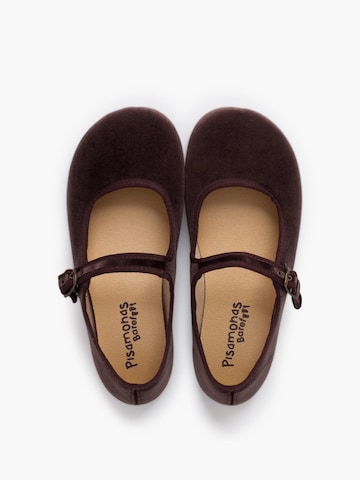 Pisamonas Polobotky – hnědá