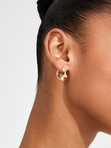 Pilgrim Earrings 'Iris' in Gold
