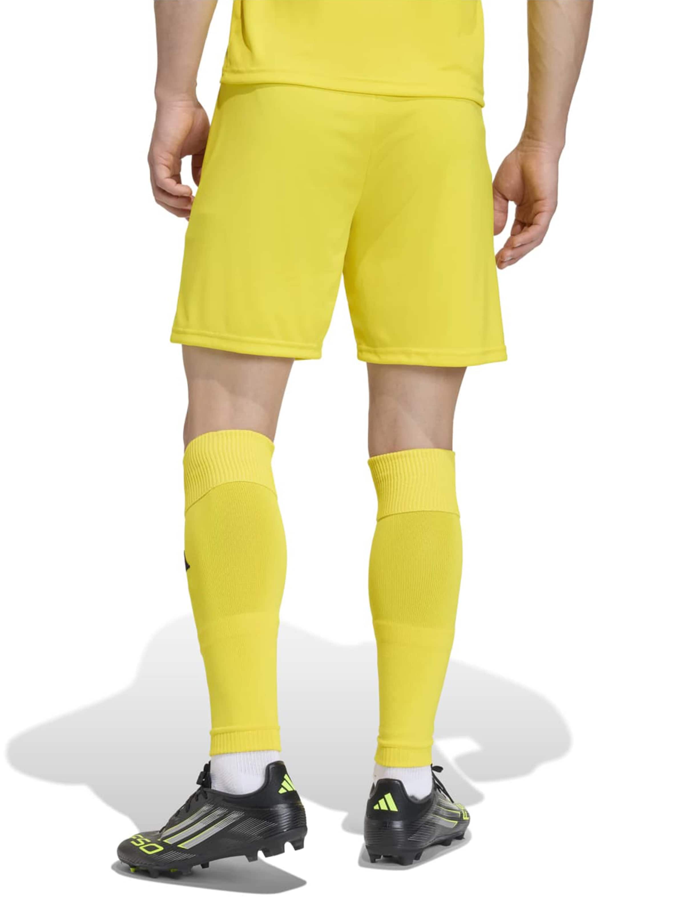 ADIDAS PERFORMANCE - regular Pantalón deportivo 'ENT26' en amarillo