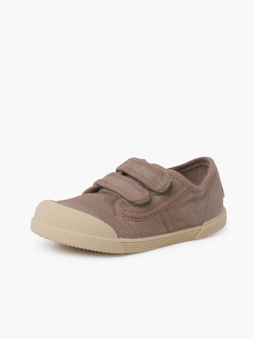 Pisamonas Sneakers in Brown: front