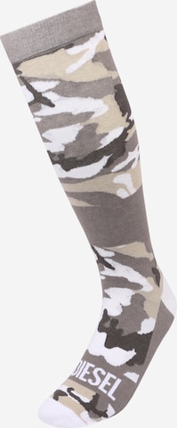 DIESEL Knee High Socks in Grey: front