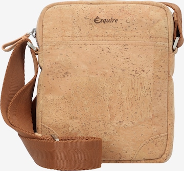 Esquire Crossbody Bag in Beige: front