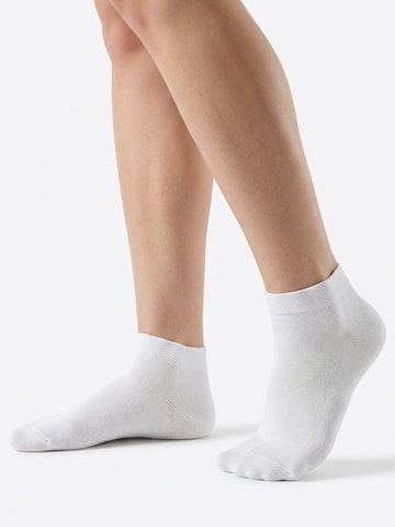 footstar Socks 'EVERYDAY!' in White