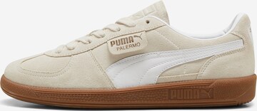 PUMA Nizke superge 'Palermo' | bež barva