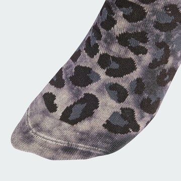 ADIDAS ORIGINALS Nogavice | siva barva