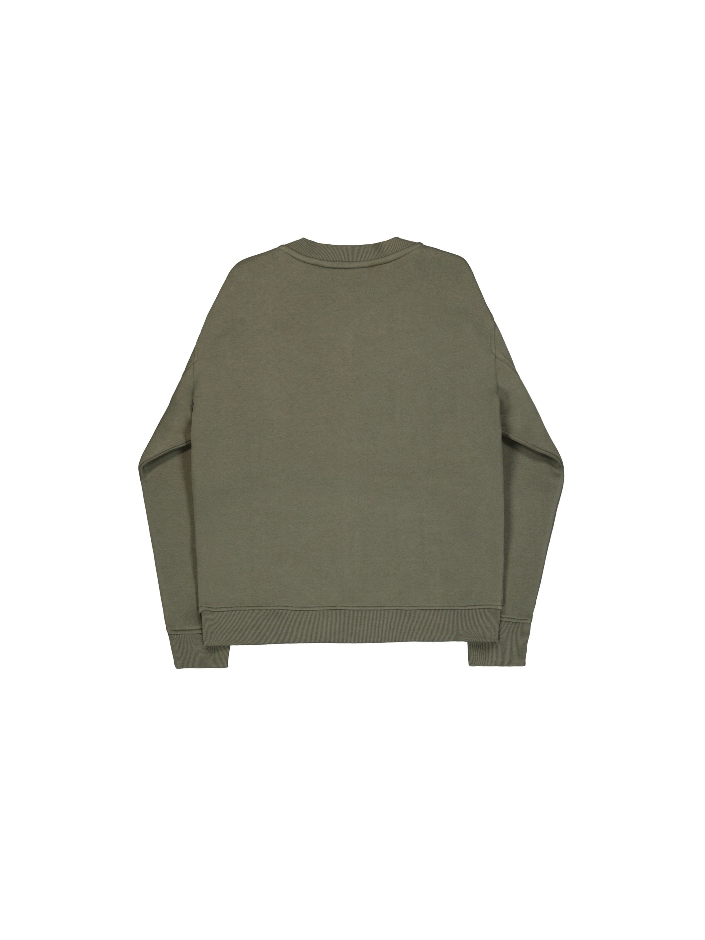 ALPHA INDUSTRIES Between-Season Jacket in Green: back