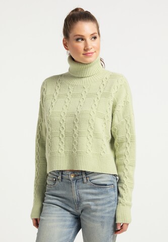 myMo NOW Sweater in Green: front