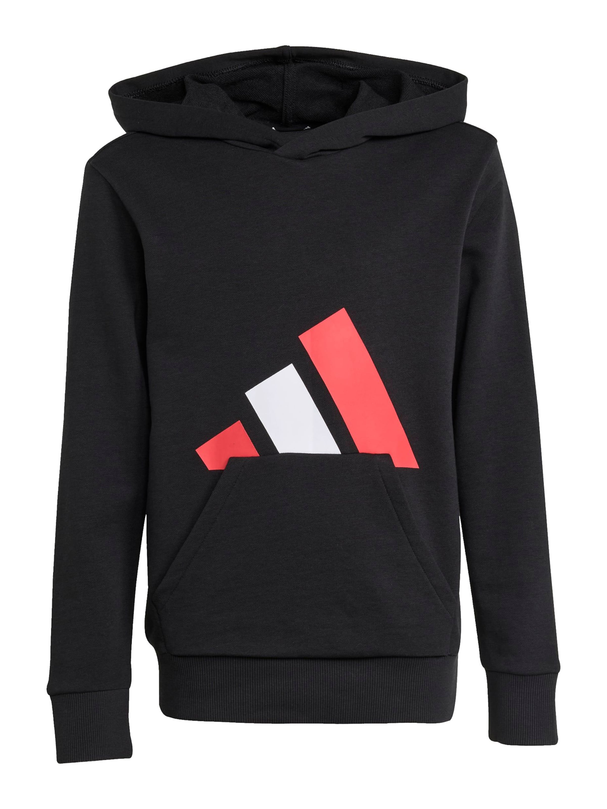 ADIDAS SPORTSWEAR Bluza sportowa 'Essentials' w kolorze czarny: przód