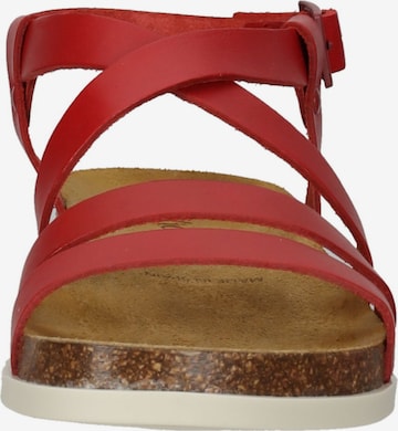 Zoccoletto di Kickers in rosso