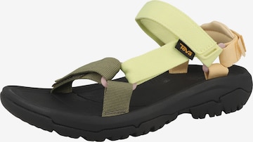 Sandalo di TEVA in verde: frontale