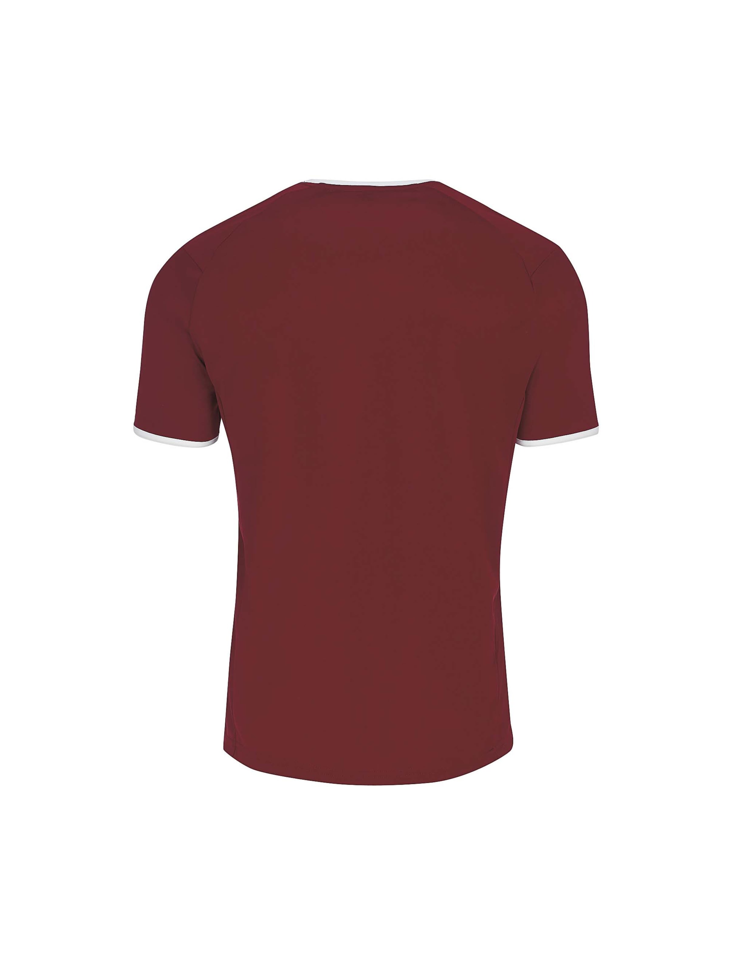 Errea Performance shirt 'LENNOX' in Red