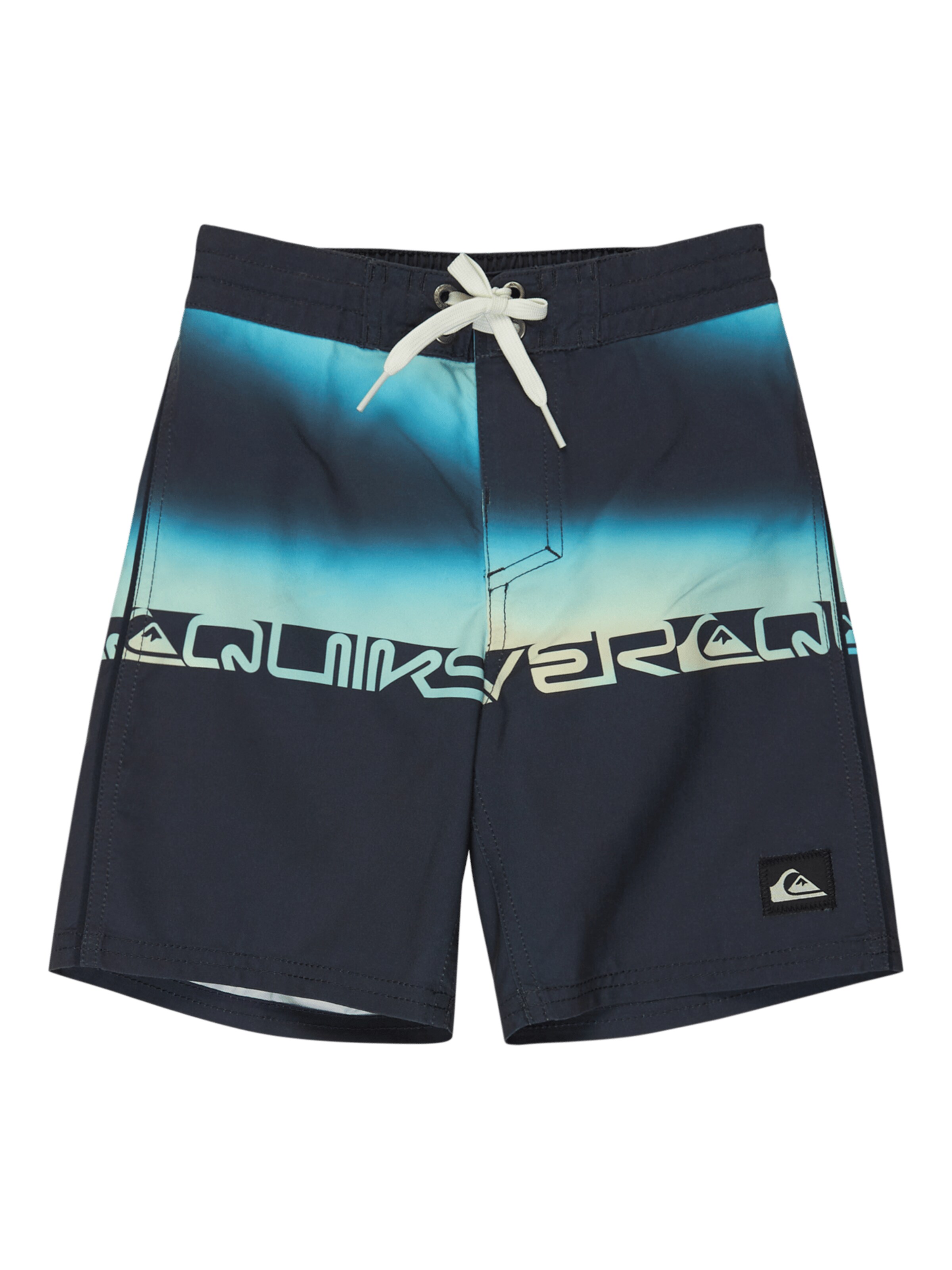 QUIKSILVER Board Shorts in Black: front