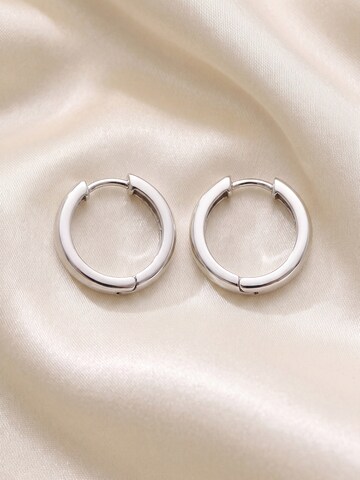 Jobo Earrings in Silver