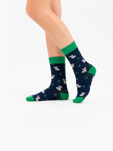 Chaussettes 'AUSTRAL EDITION' The Arctic Bay en mélange de couleurs