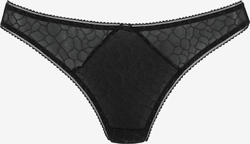 LASCANA Thong in Black: front