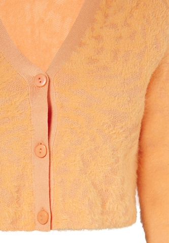 KAWAI Gebreid vest in Oranje