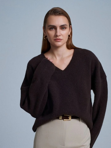 Dilvin Sweater 'Pullover' in Brown
