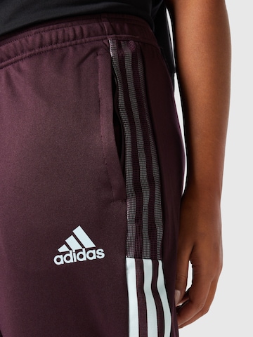 Regular Pantalon de sport 'Tiro ' ADIDAS SPORTSWEAR en rouge