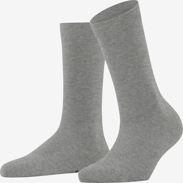 FALKE Socks 'Family' in Grey: front