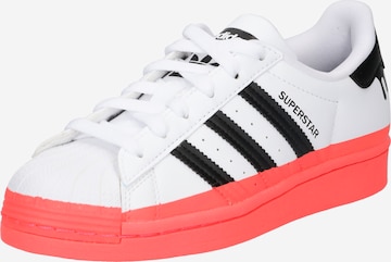 ADIDAS ORIGINALS - Sapatilhas 'SUPERSTAR' em branco: frente