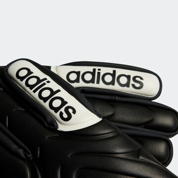 ADIDAS PERFORMANCE - Luvas de desporto 'Copa Match' em preto