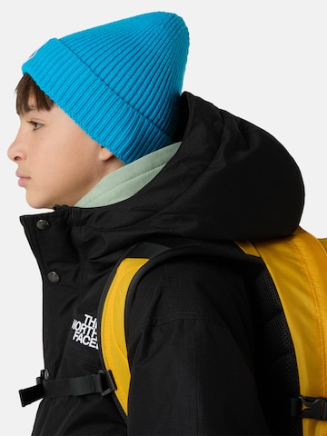 THE NORTH FACE Muts in Blauw