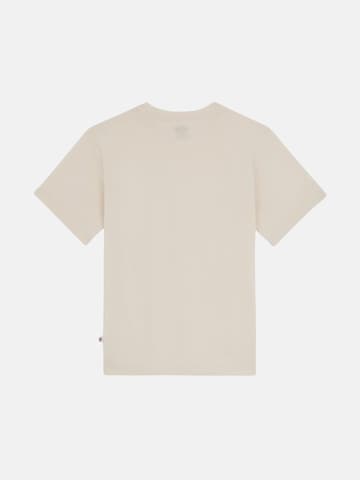 Maglietta 'MAPLETON' di DICKIES in beige