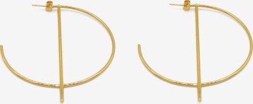 Corazul Earrings in Gold: front