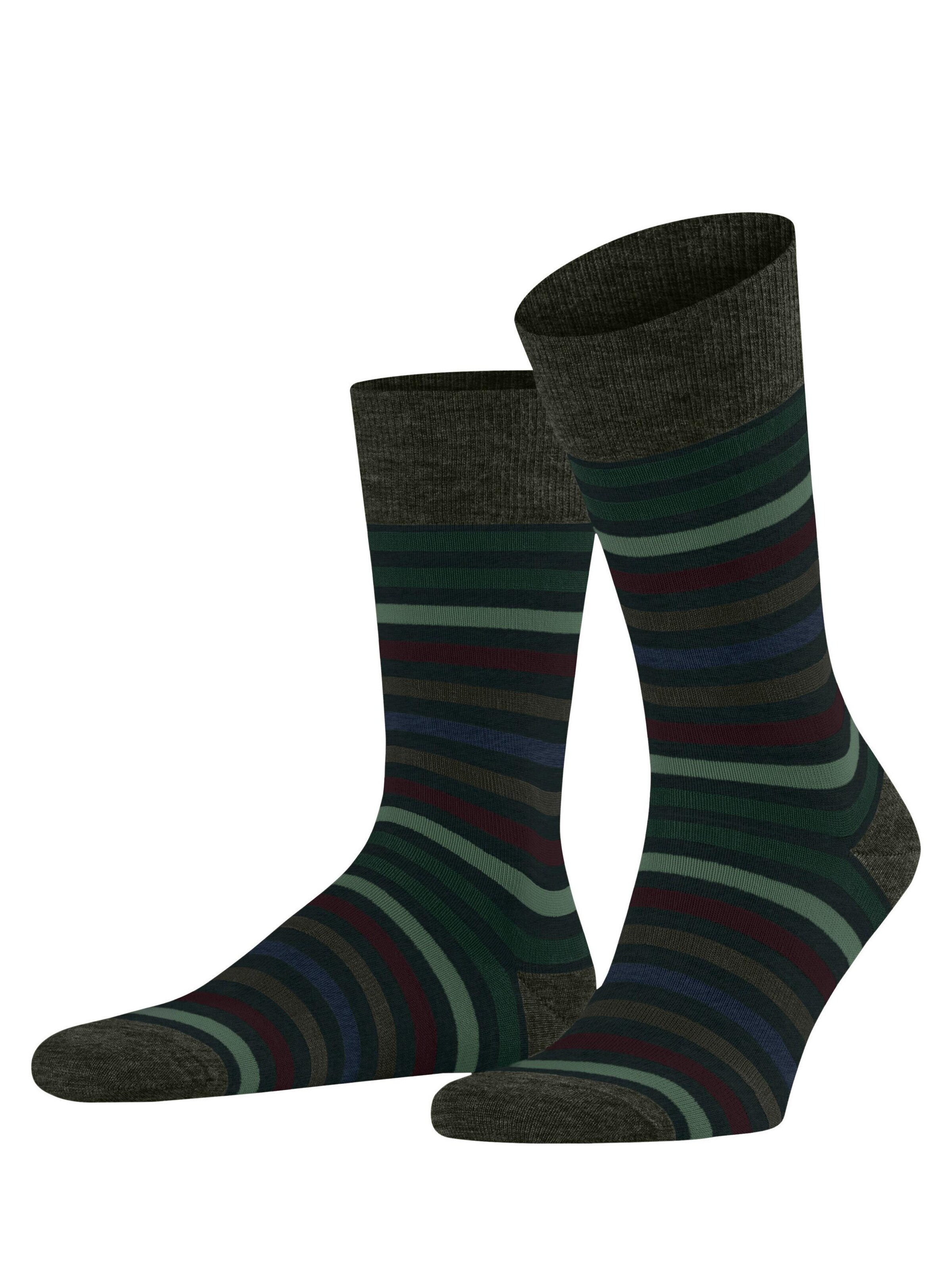 FALKE Socks 'Tinted Stripe' in Green