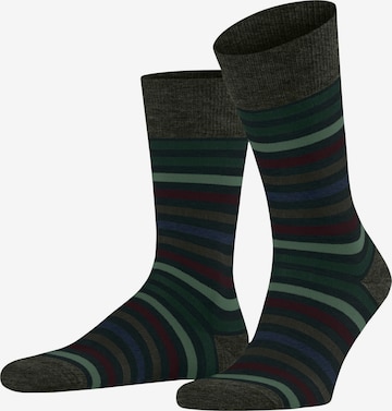 FALKE Socken 'Tinted Stripe' in Grün: Vorderseite