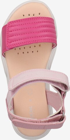 Sandales 'Deaphne' GEOX en rose