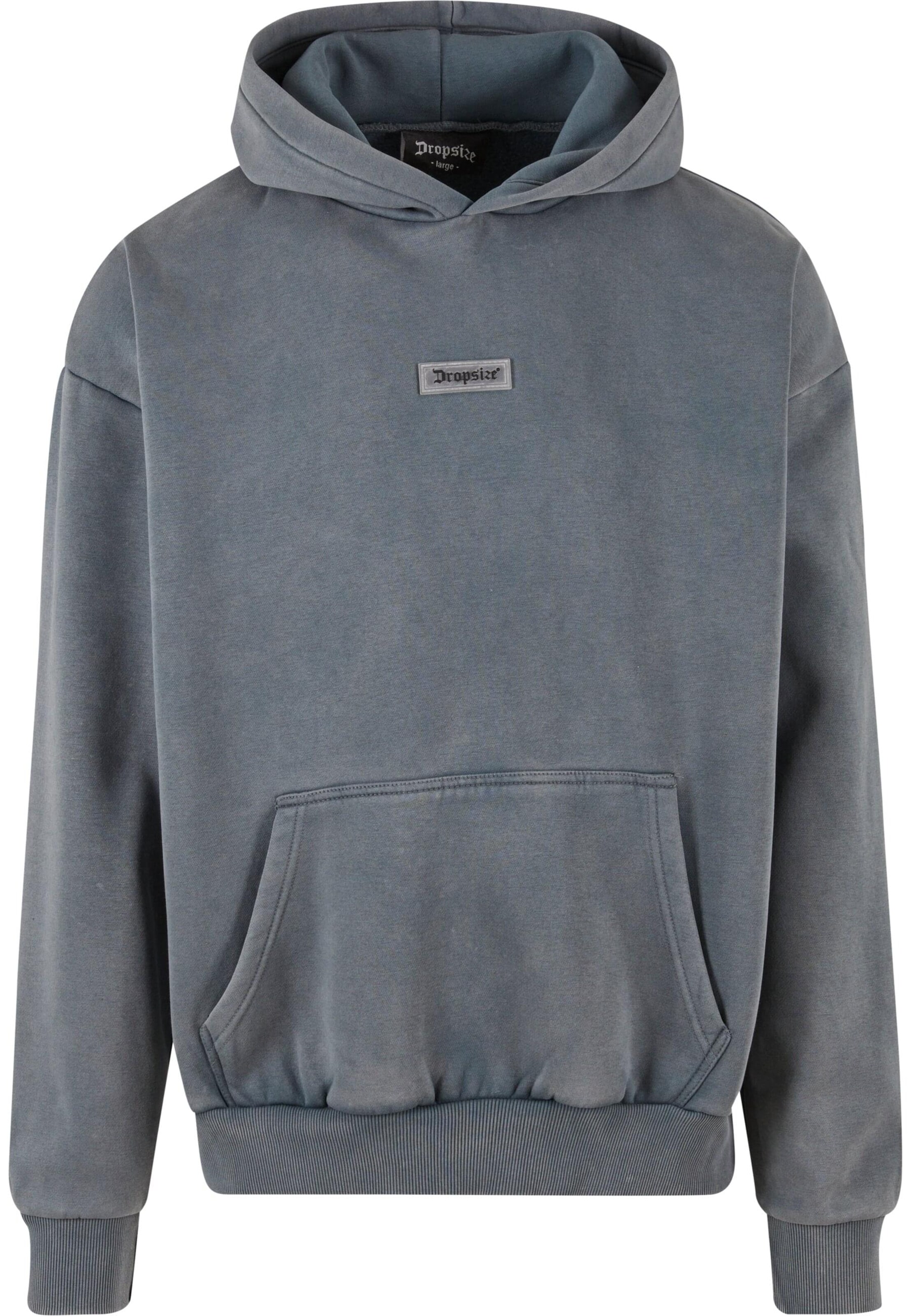 Dropsize Sweatshirt in Grey: front