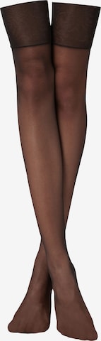 CALZEDONIA Hold-up stockings in Brown: front