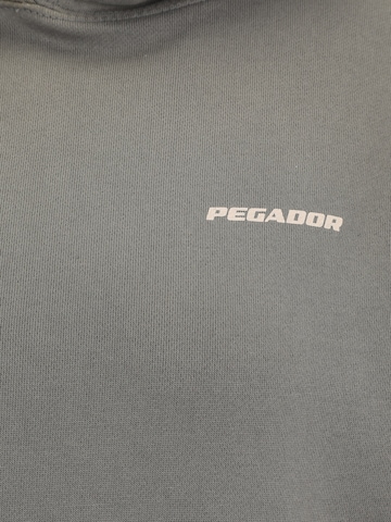 Felpa 'GALENA' di Pegador in grigio