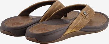 REEF Classic Flats 'Pacific Le' in Brown