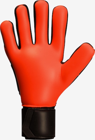 UHLSPORT Athletic Gloves in Orange