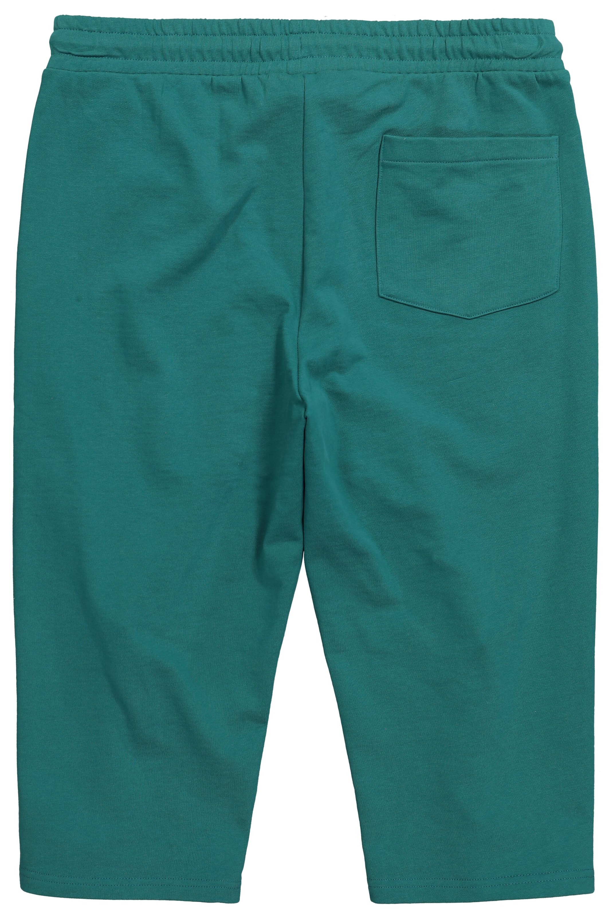 Men Plus Regular Trousers in Green