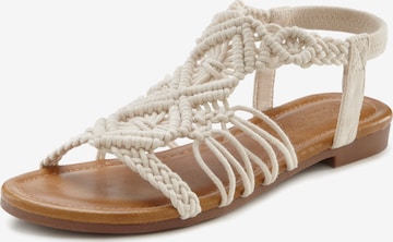 LASCANA T-bar sandals in Beige: front