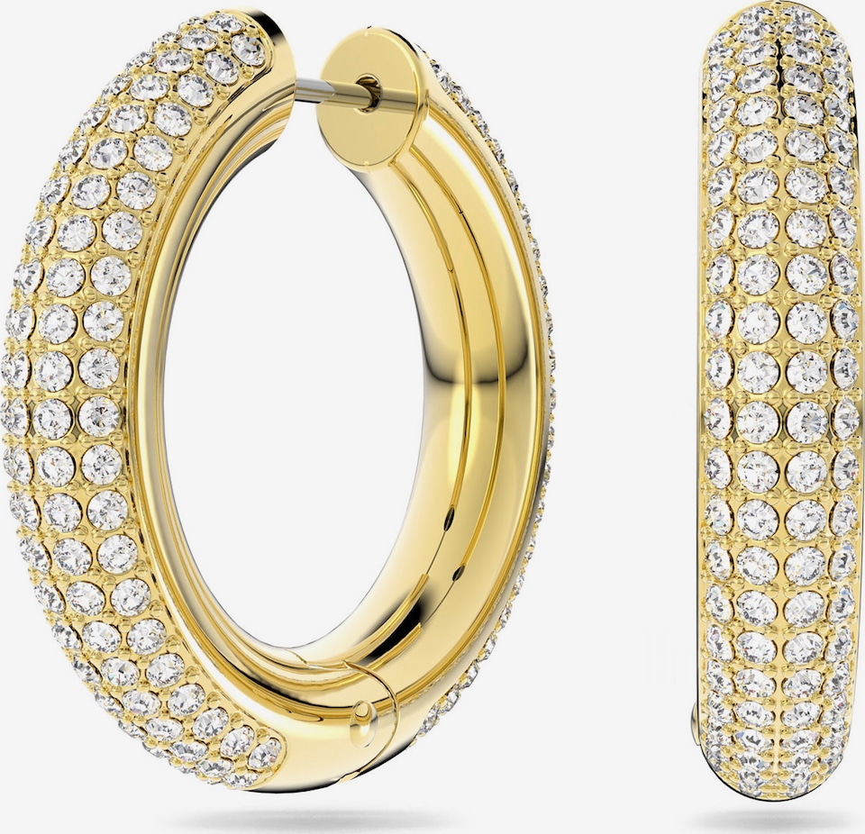 Swarovski Orecchini 'Dextera'