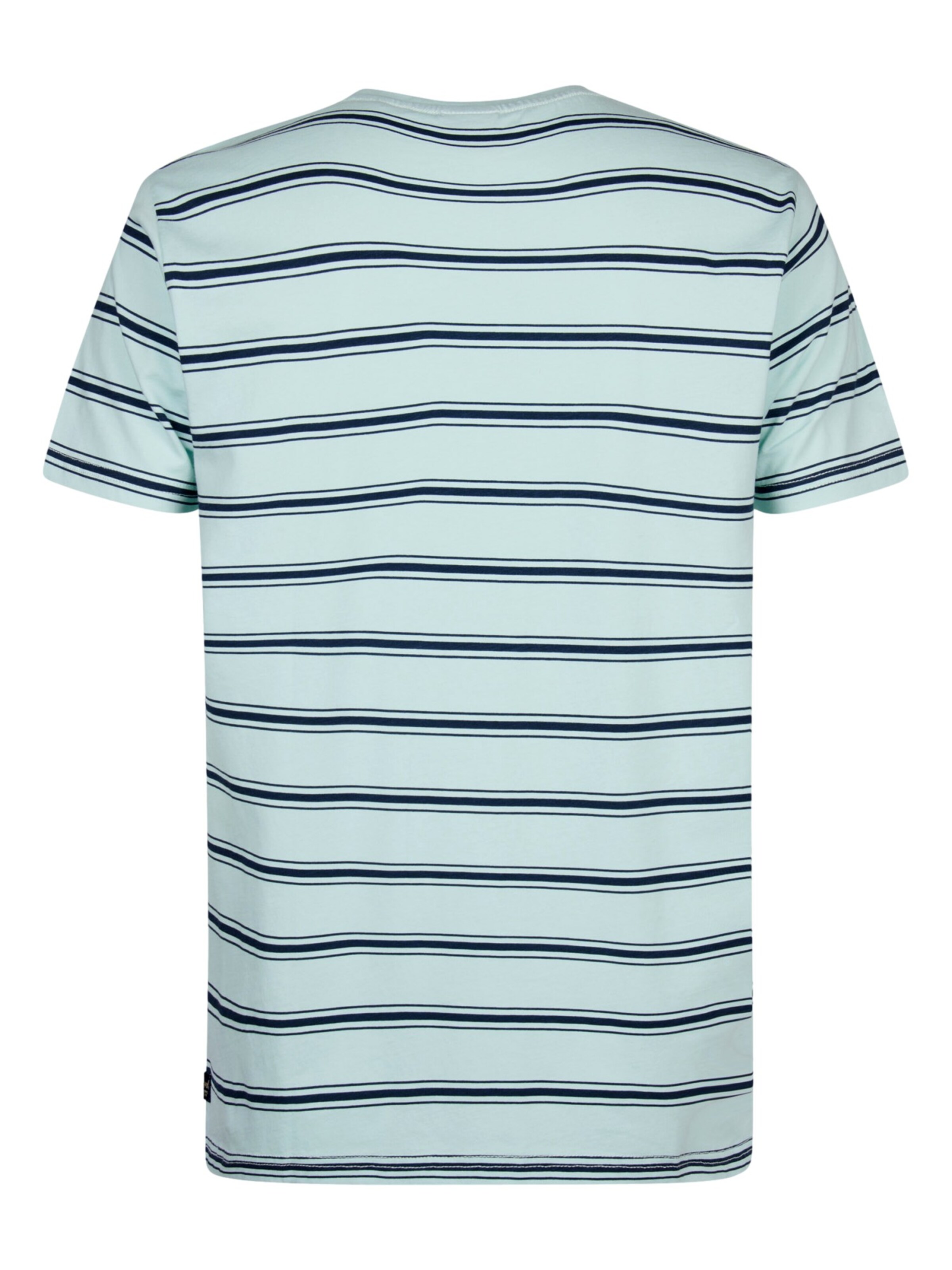 Petrol Industries Shirt in Blauw