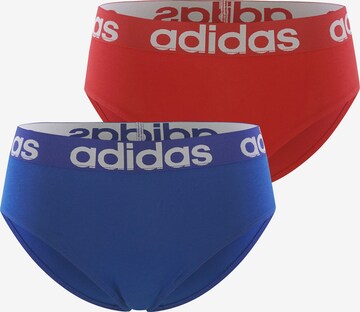 Slip ' Realasting Cotton ' ADIDAS ORIGINALS en bleu : devant