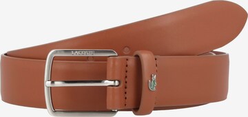 Cintura di LACOSTE in marrone: frontale