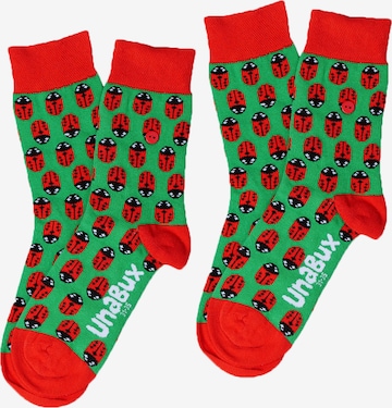 UNABUX Socken in Grün: Vorderseite