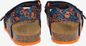 GEOX Open schoenen in Blauw