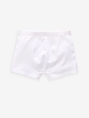 Next Underpants in White