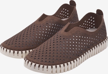 ILSE JACOBSEN Slip-Ons 'Tulip3275' in Brown: front