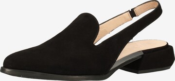 Wonders Ballet Flats in Black: front