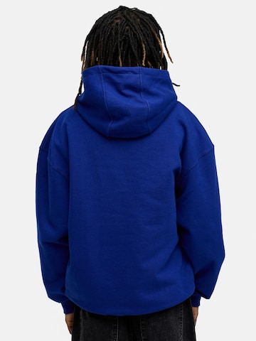 Daily Cotton Sweatshirt 'DCAUSTIN'‌‌‌‌‌‌‌‌‌ in Blau